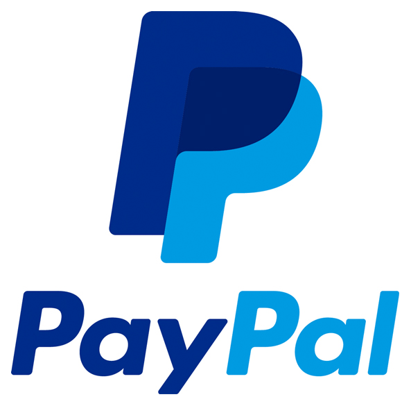 Daily Stock Market Insights 14 PayPal Logo