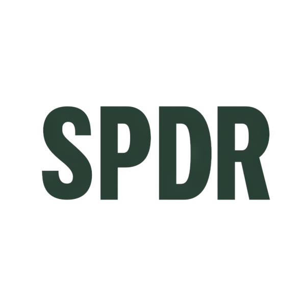 Daily Stock Market Insights 21 S&P 500 Logo